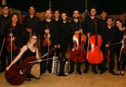 Concerto beneficente reunirá Orquestra Acadêmica da Udesc