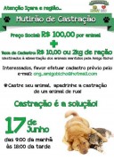 Mutir&atilde;o de castra&ccedil;&atilde;o de c&atilde;es e gatos neste s&aacute;bado a pre&ccedil;o de custo