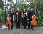 Quarteto de Cordas Udesc faz apresenta&ccedil;&otilde;es gratuitas