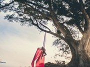 Studio de dan&ccedil;a oferece aula experimental de tecido acrob&aacute;tico