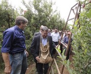 Colombo participa da abertura oficial da colheita da ma&ccedil;&atilde;