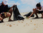 Ton&eacute;is de coleta seletiva auxiliar&atilde;o mutir&atilde;o Praia Limpa