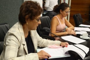 Alesc debater&aacute; contrata&ccedil;&atilde;o de psic&oacute;logos para a rede estadual de ensino