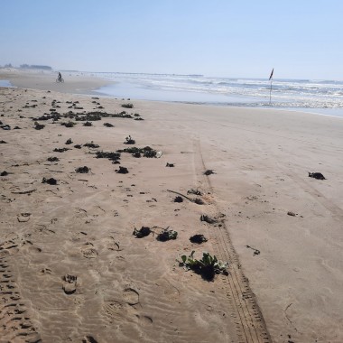 Balneabilidade: &iacute;ndice de pontos pr&oacute;prios para banho em SC sobe para 65,3%