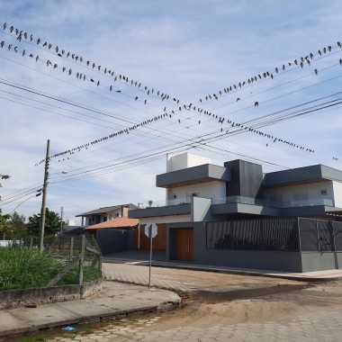Bando de passarinhos pousa com maestria em fios de energia em Balneário Rincão