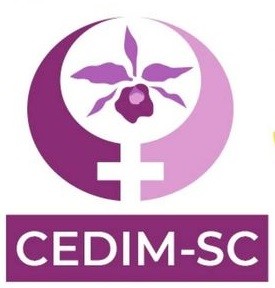 Conselho Estadual da Mulher abre seleção para sociedade civil em SC