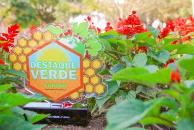 Produtores org&acirc;nicos ser&atilde;o homenageados com trof&eacute;u Destaque Verde