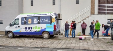 Equipe do BusC&atilde;o castra 21 animais no Bairro Presidente Vargas