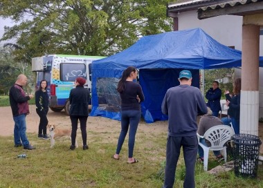Mais 21 animais s&atilde;o castrados pelo servi&ccedil;o m&oacute;vel BusC&atilde;o em I&ccedil;ara