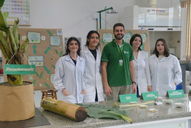 IFSC desenvolve pl&aacute;sticos biodegrad&aacute;veis a partir do res&iacute;duo da bananeira