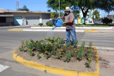Ipês amarelos e mudas de flores são plantadas em espaços públicos de Maracajá