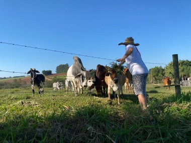 Programa Porteira Adentro &eacute; expandido e beneficia agricultores em I&ccedil;ara (SC)