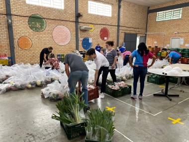 Projeto Cesta Verde chega a 2,4 mil kits de alimentos entregues em I&ccedil;ara