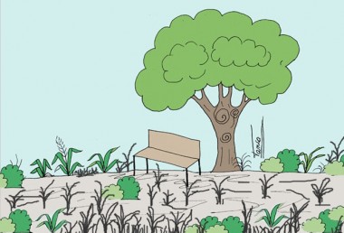 Pra&ccedil;as e ruas continuam abandonadas na I&ccedil;ara