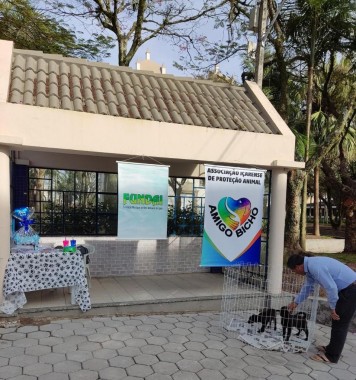 No dia 12 acontece mais um 'S&aacute;bado Animal' na Pra&ccedil;a S&atilde;o Donato