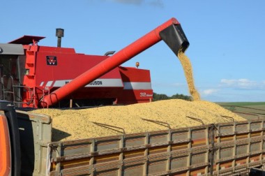 SC bate recorde na exporta&ccedil;&atilde;o de soja nos quatro primeiros meses do ano