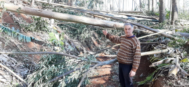 Ciclone Extratropical resulta em perdas ao agronegócio em Siderópolis