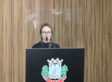 "Arte na Escola" &eacute; sugerida pela vereadora Carla Vieira de Souza