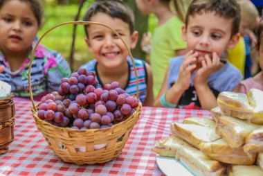 Alunos visitam parreirais e aprendem sobre alimenta&ccedil;&atilde;o saud&aacute;vel