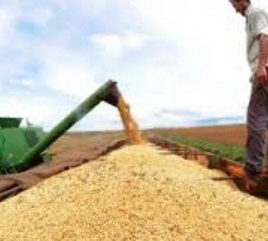 Confiança de industriais do agronegócio paulista cresce no terceiro trimestre