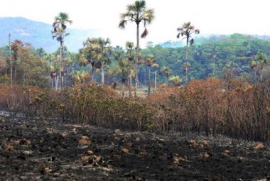 Peritos da Pol&iacute;cia Federal j&aacute; atuam para investigar inc&ecirc;ndio na Chapada