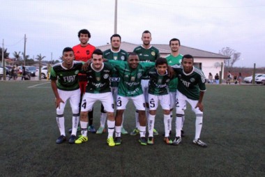 Palmeiras assume a lideran&ccedil;a entre torcedores de I&ccedil;ara