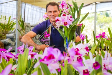 Orquid&aacute;rio Budny recebe premia&ccedil;&atilde;o em tr&ecirc;s eventos