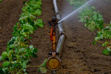 Aprenda na Unisul técnica para irrigar a sua lavoura